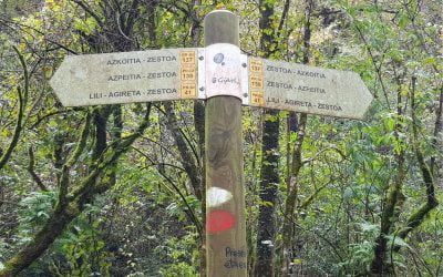 LASTER MENDIAN IKUSIKO DUGU ELKAR