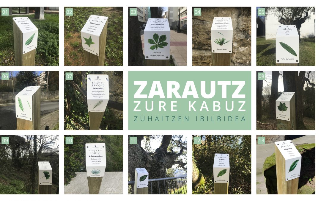 ZARAUTZ ZURE KABUZ: ZUHAITZEN IBILBIDEA, SEINALEZTATUTA
